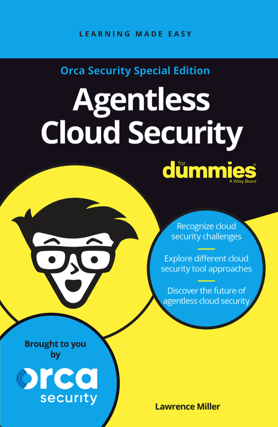 Agentless Cloud Security For Dummies